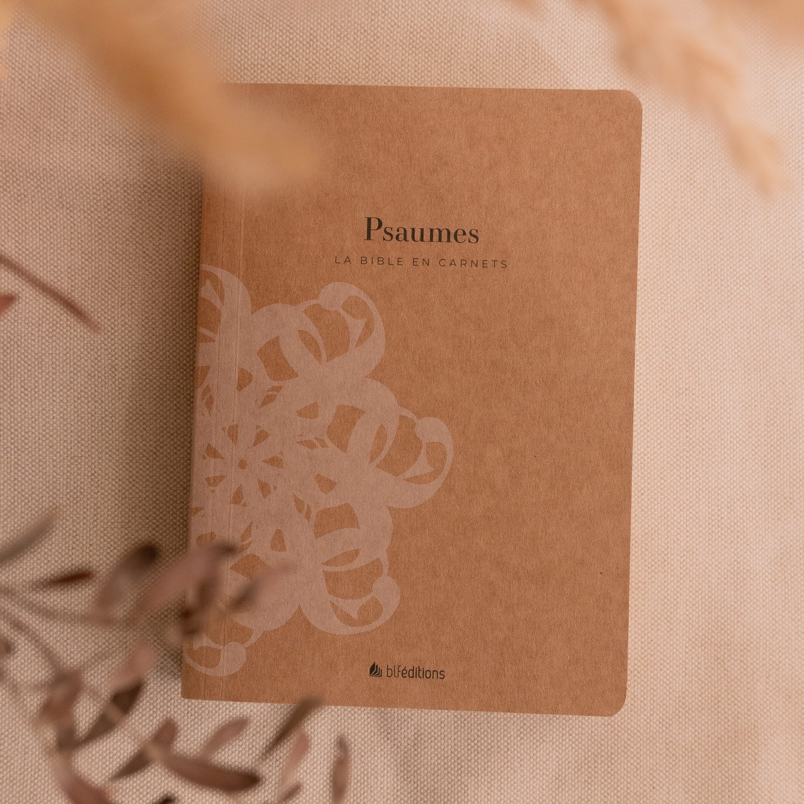 Les Psaumes en carnet