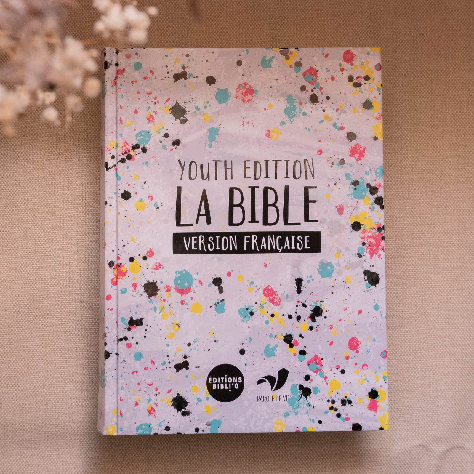 Bible Youth Edition – Parole de Vie (version française)