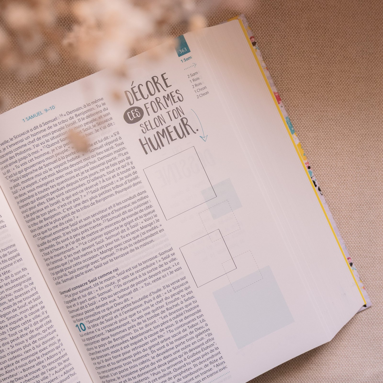 Bible Youth Edition – Parole de Vie (version française) – Image 2