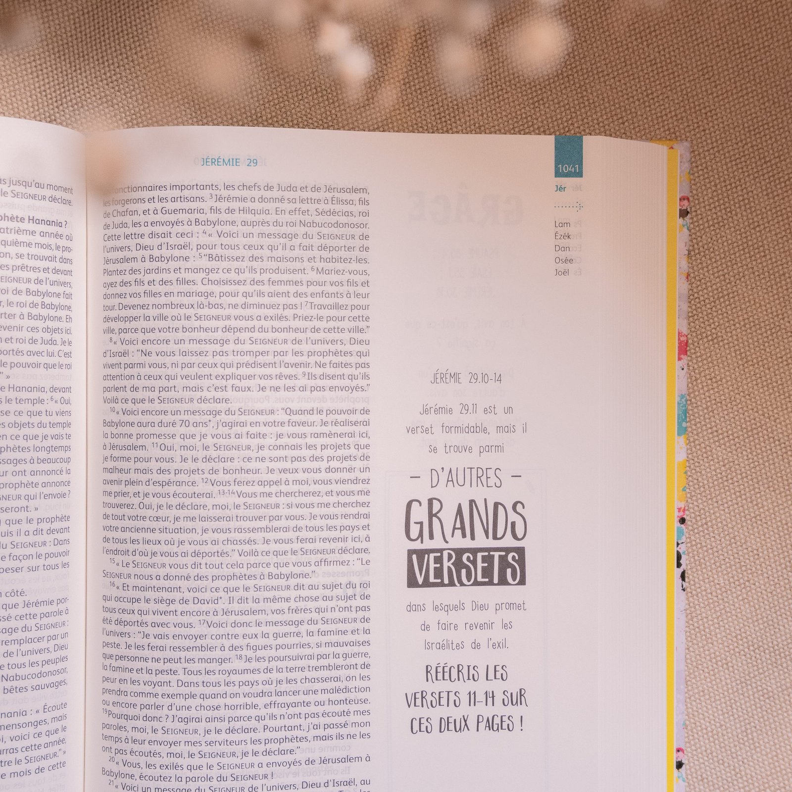 Bible Youth Edition – Parole de Vie (version française) – Image 4
