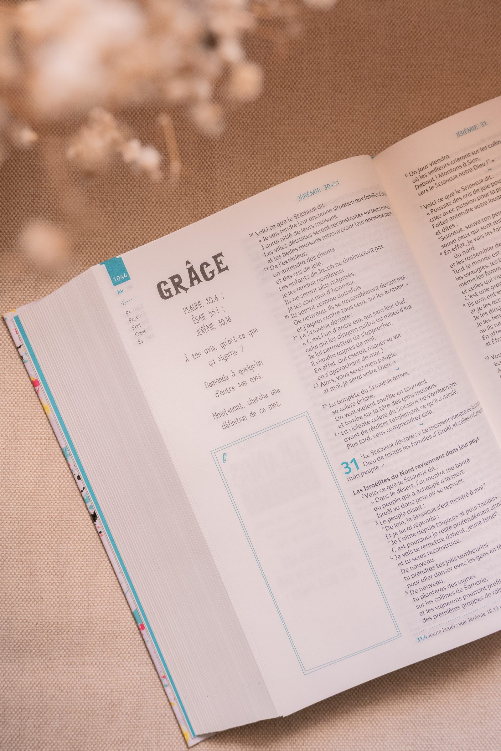 Bible Youth Edition – Parole de Vie (version française) – Image 3