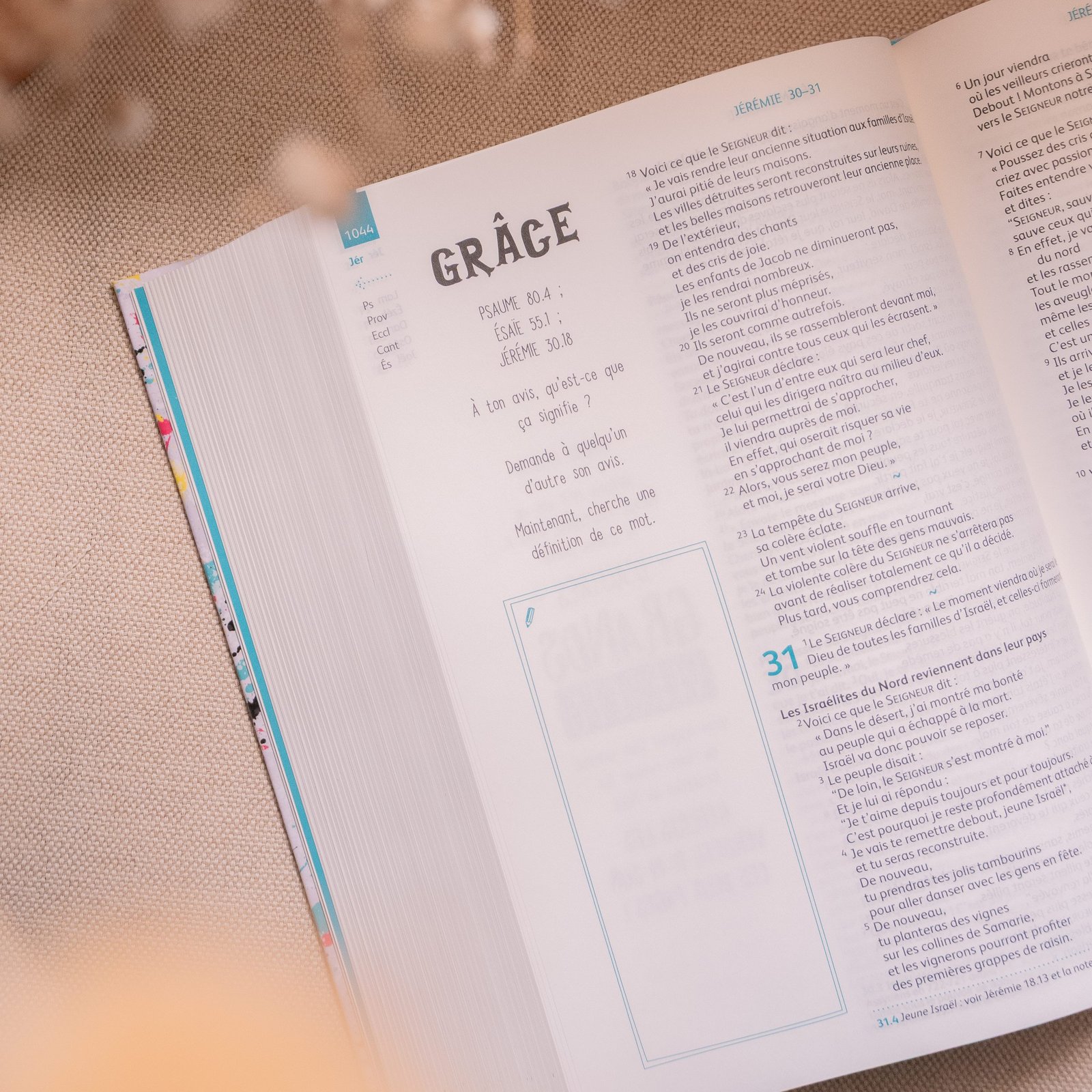 Bible Youth Edition – Parole de Vie (version française) – Image 5