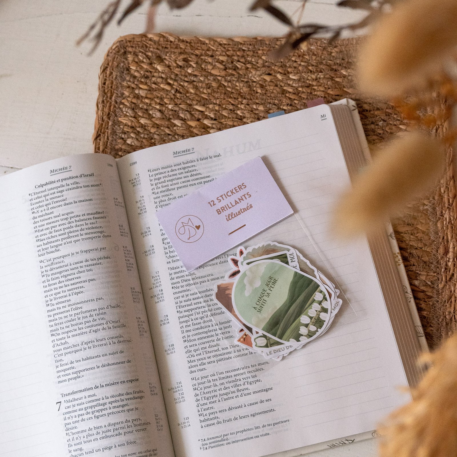 Lot de 12 stickers illustrés - papier brillant – Image 3