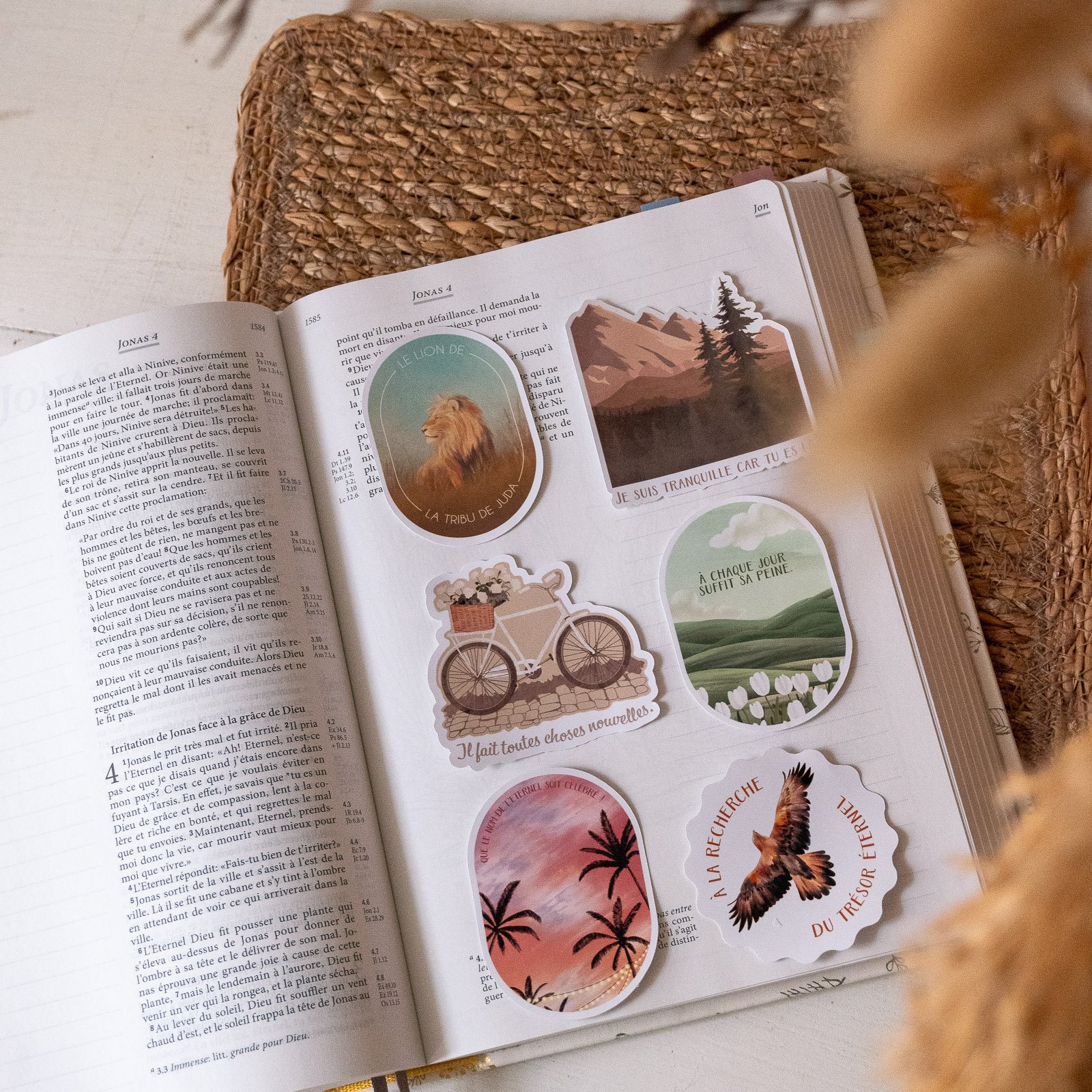 Lot de 12 stickers illustrés - papier brillant – Image 2